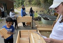  volunteers in garden